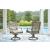 Rainier 2-Piece Ranch Aluminum/Polyester Swivel Chair with Cushion