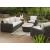 Kimora Resin Wicker/Aluminum Swivel Glider Lounge Chair with Cushion