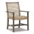 Germalia Outdoor Resin Wicker/Eucalyptus Wood Arm Chair