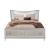Paris Queen Size Bed