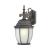 Covington 1-Light Outdoor Wall Lantern w/Matt Glass, Configuration 2