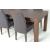 Rhine Extendable Dining Set w/Elke Chair