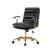 Regina Padded Leather Adjustable Swivel Executive Office Chair
