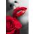 Premium Acrylic Wall Art Rose - SB-61336A