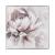 Petal Study Framed Wall Art