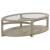 Solstice Oval Glass/Wood Coffee Table