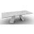 Apian W98.4-inch Ceramic/Metal Customizable Rectangular Dining Table