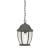 Covington 1-Light Pendant Lantern
