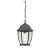 Covington 1-Light Pendant Lantern