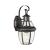 Heritage 1-Light Small Outdoor Wall Lantern
