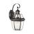 Heritage 1-Light Outdoor Wall Lantern