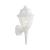 Essentials 1-Light Outdoor Wall Lantern, Configuration 2