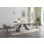 Swan Ceramic Extendable Table