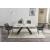 Swan Ceramic Extendable Table