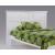 Spices Tarragon Wood P-Series High/Low Platform Bed