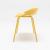 Team Plastic/Metal Low Bench