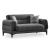 Toledo Polyester Convertible Loveseat