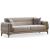 Toledo Polyester Convertible Living Room Set