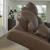 VonRyan Leather/PVC Power Reclining Loveseat w/Console & Adjustable Headrests