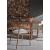 Echo Fabric/Wood Dining Arm Chair