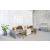 Basic Office D31.5