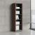 Status Office Bookcase w/5 Shelves