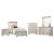 Celandine Leatherette/Wood Tufted Platform Youth Bedroom Set