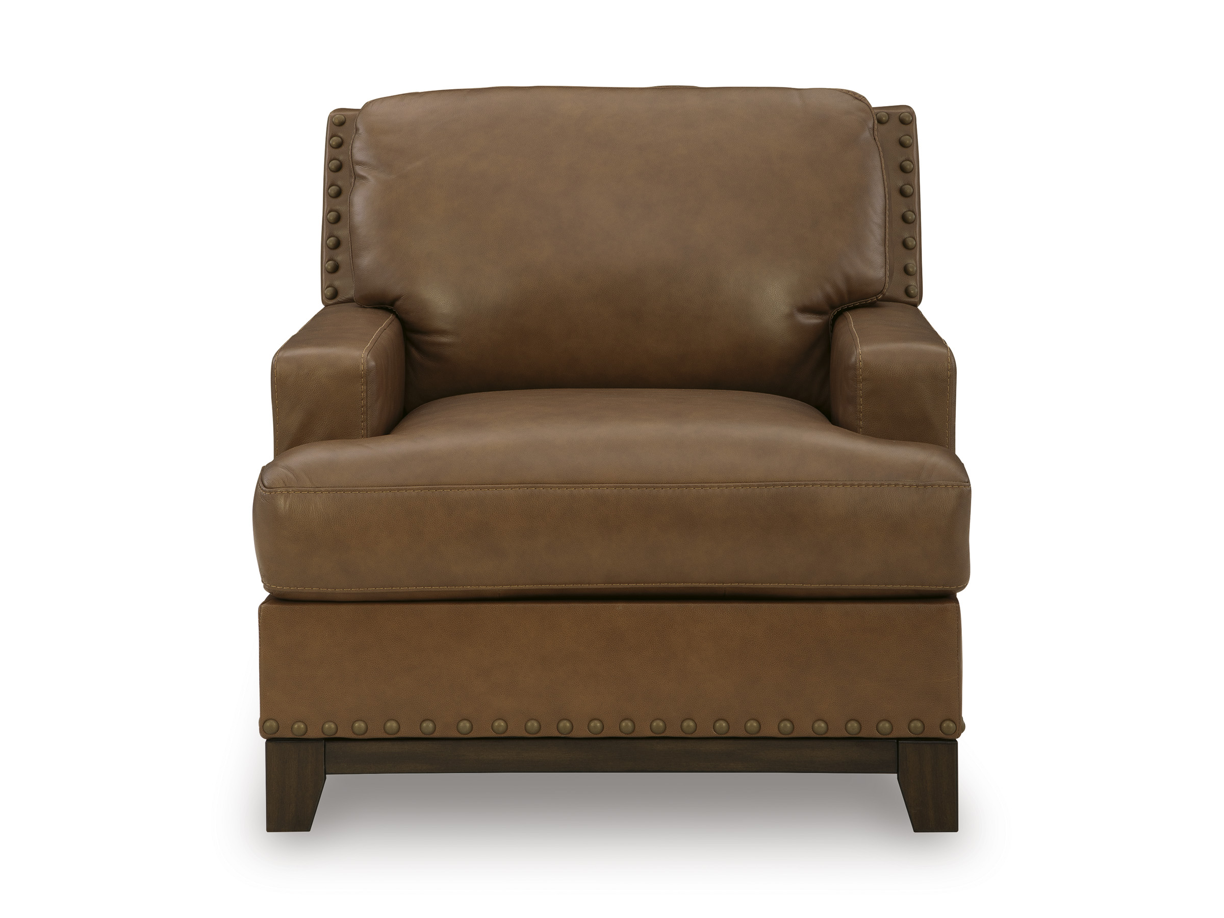 Saonara Leather Chair