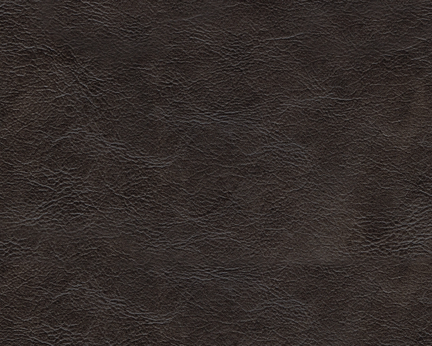 Nicorvo Leather