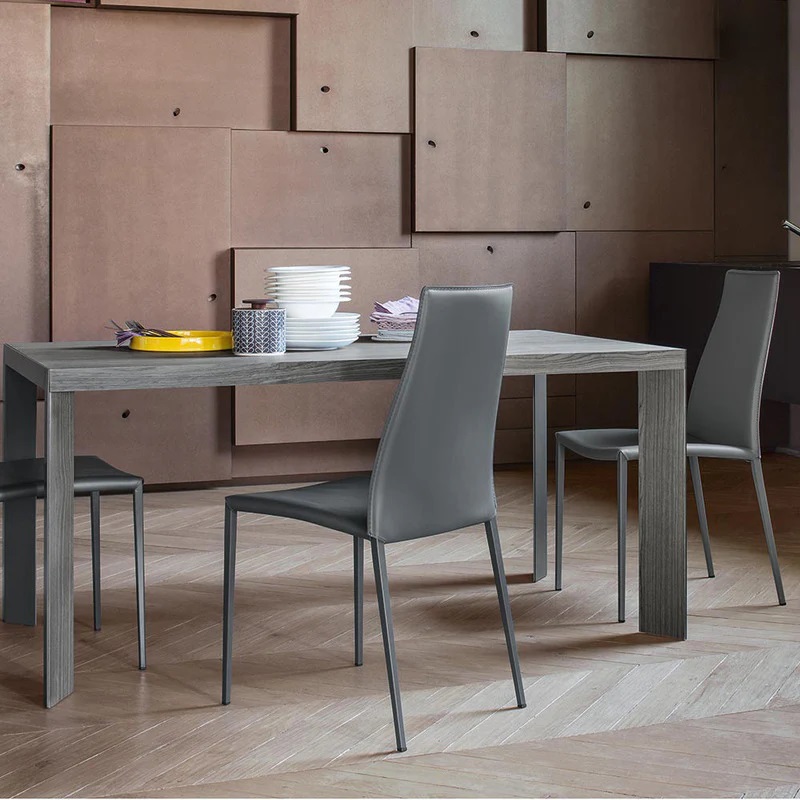 Aida Leather/Metal Dining Chair