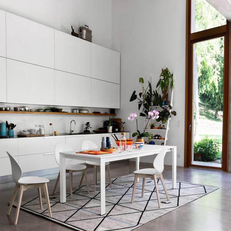 Basil Polypropylene/Leather/Wood Dining Chair