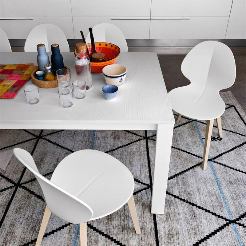 Basil Polypropylene/Leather/Wood Dining Chair