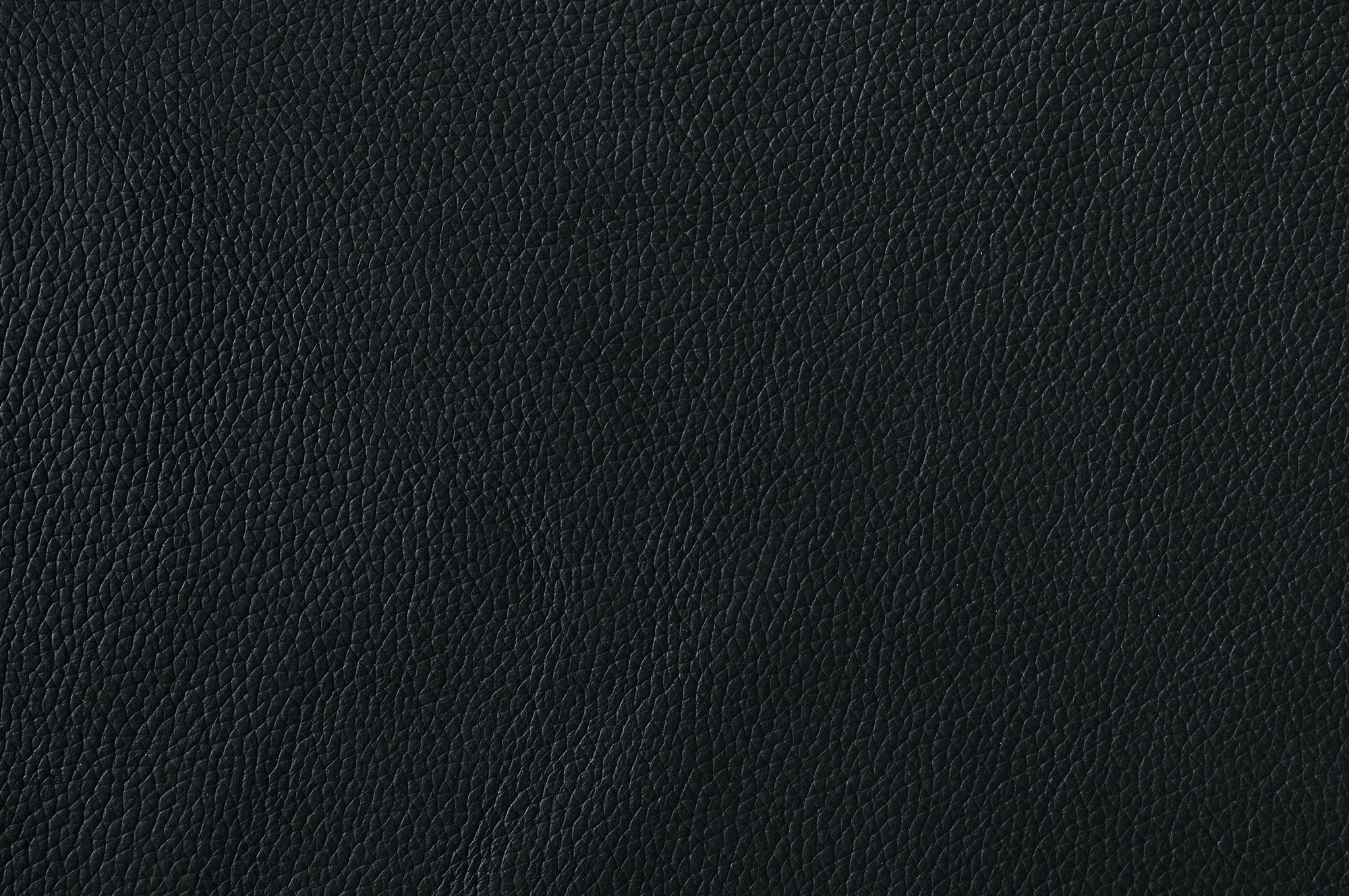 Greeley Leather Chair