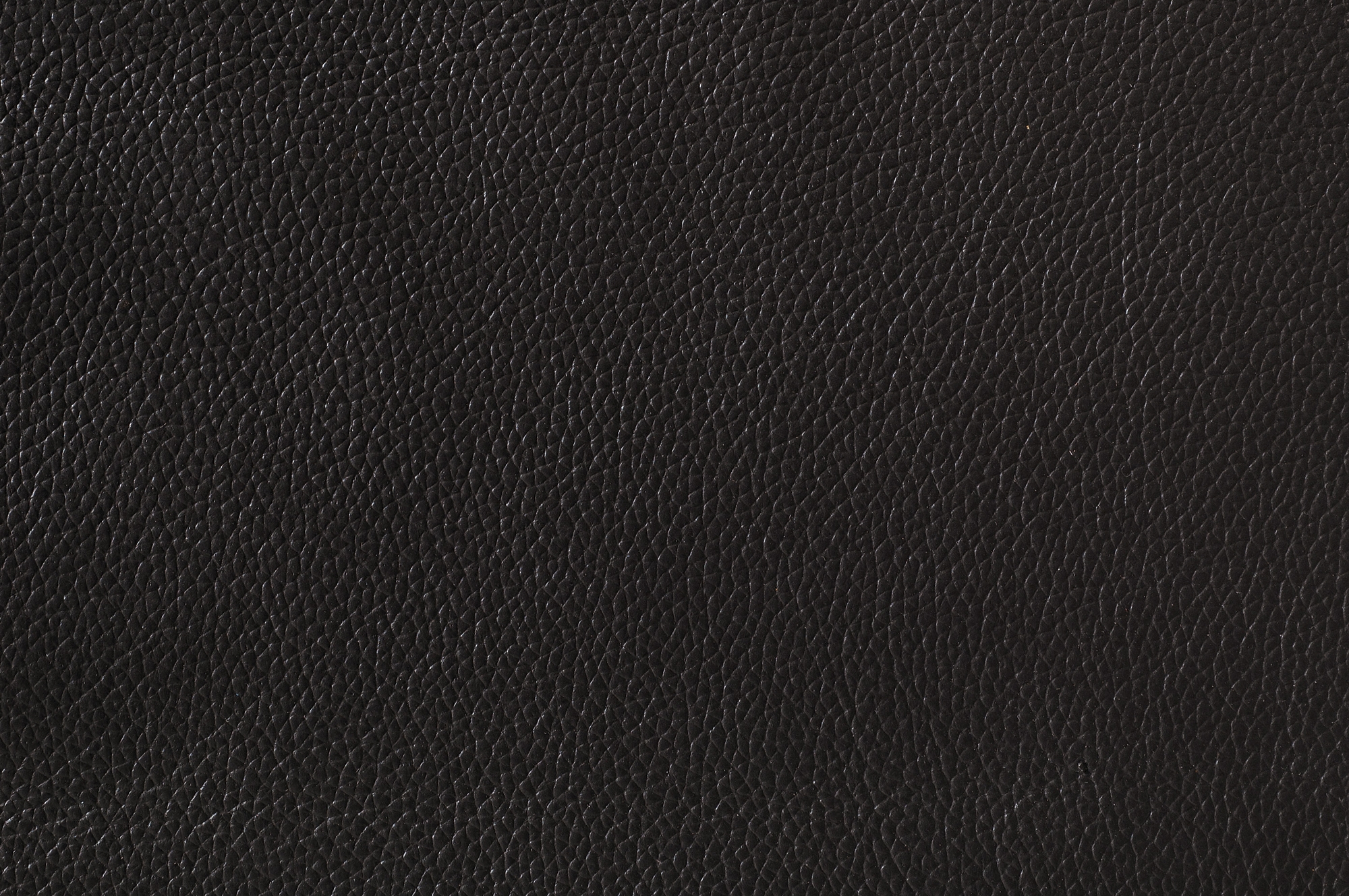 Greeley Leather Chair