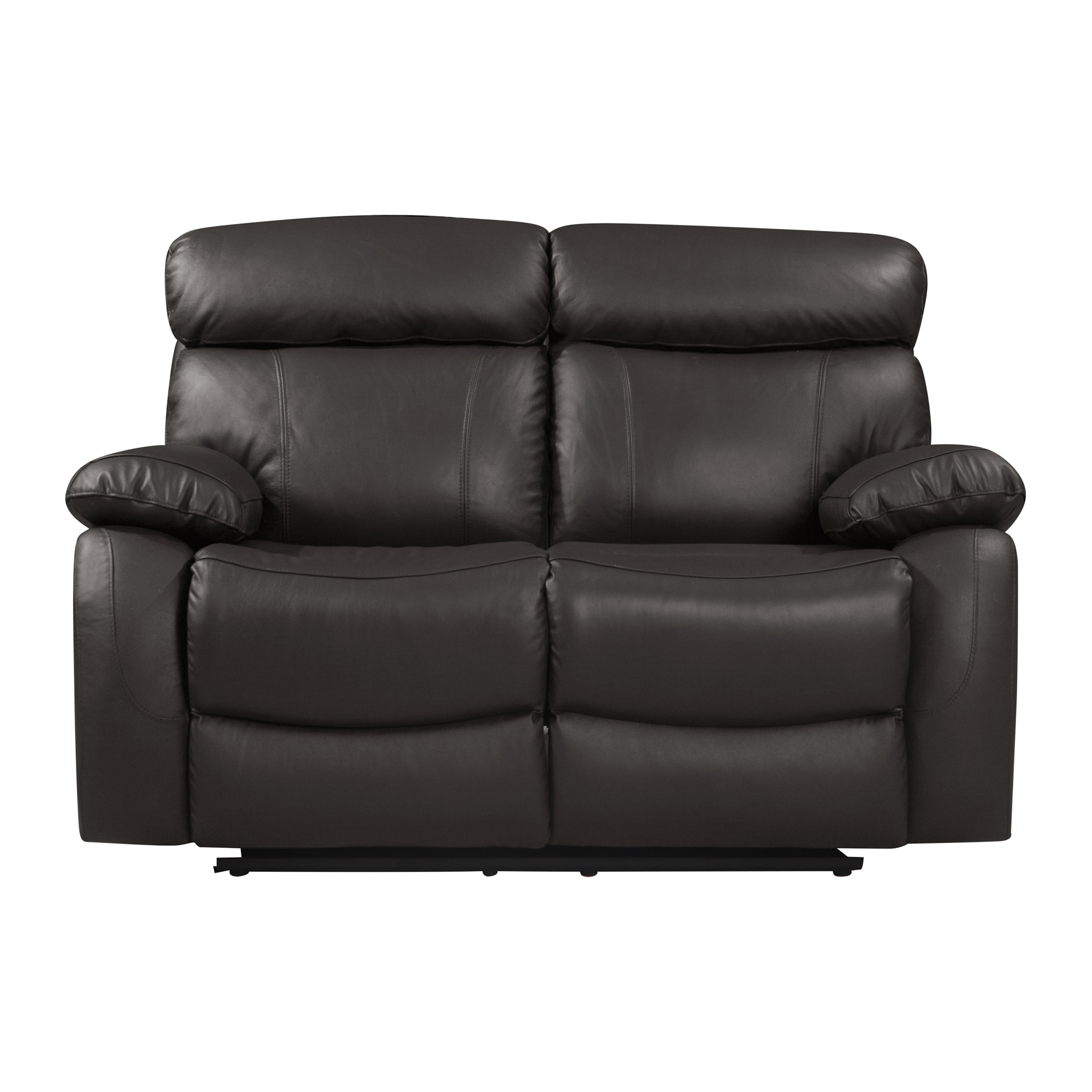 Pendu Leather/Leatherette Double Reclining Loveseat