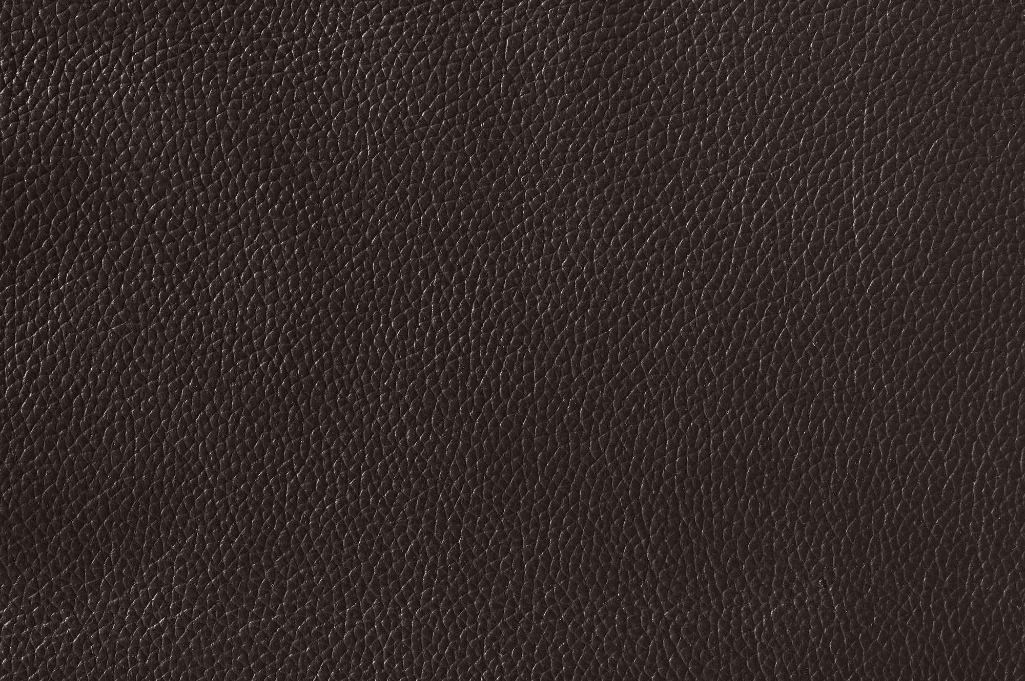 Pendu Leather/Leatherette Double Reclining Loveseat