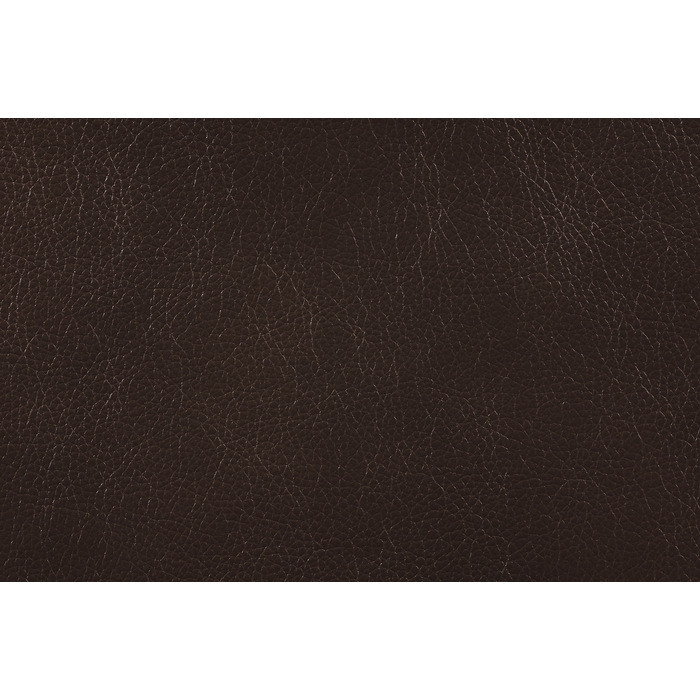 Pecos Reclining Leatherette Power Sofa