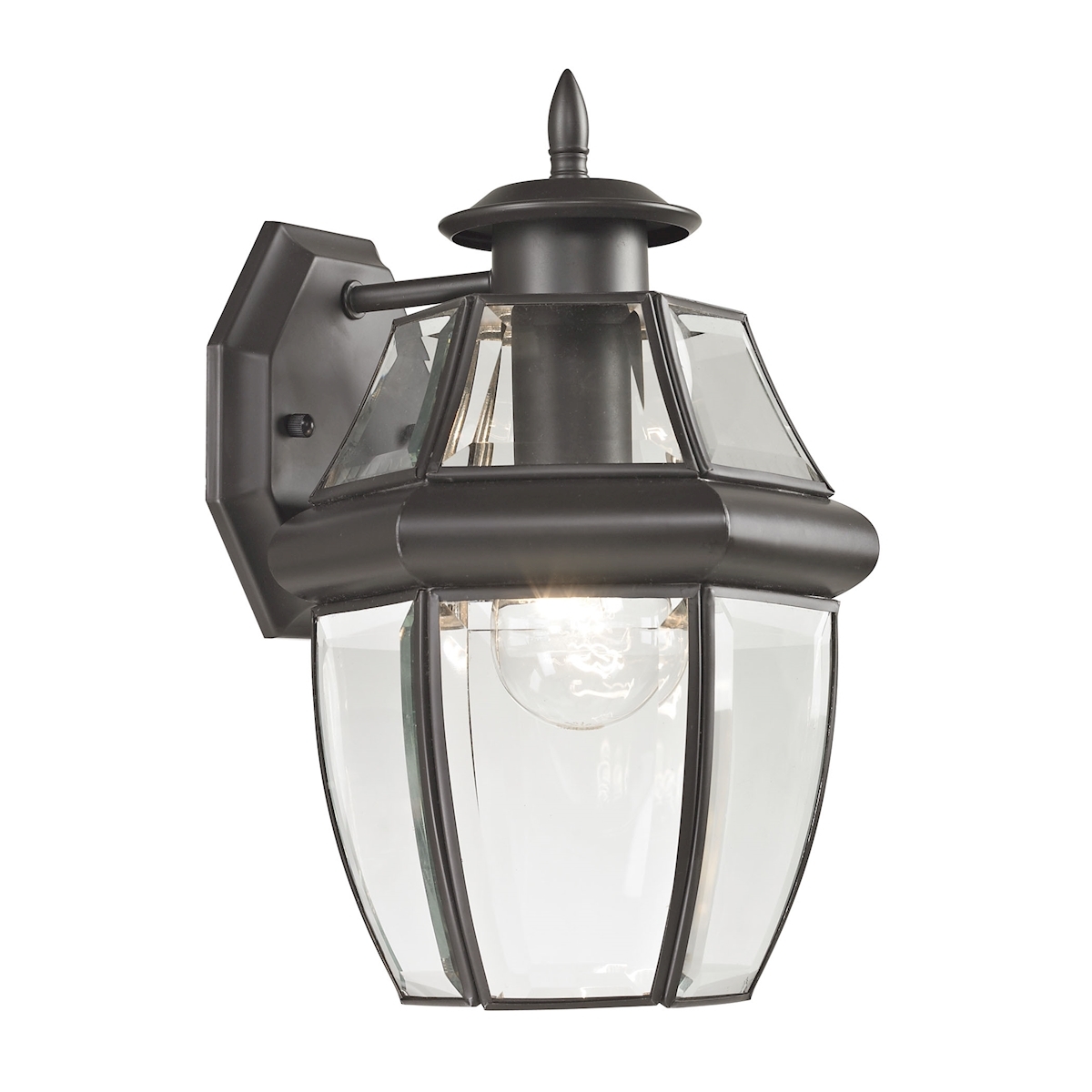 Ashford 1-Light Coach Lantern