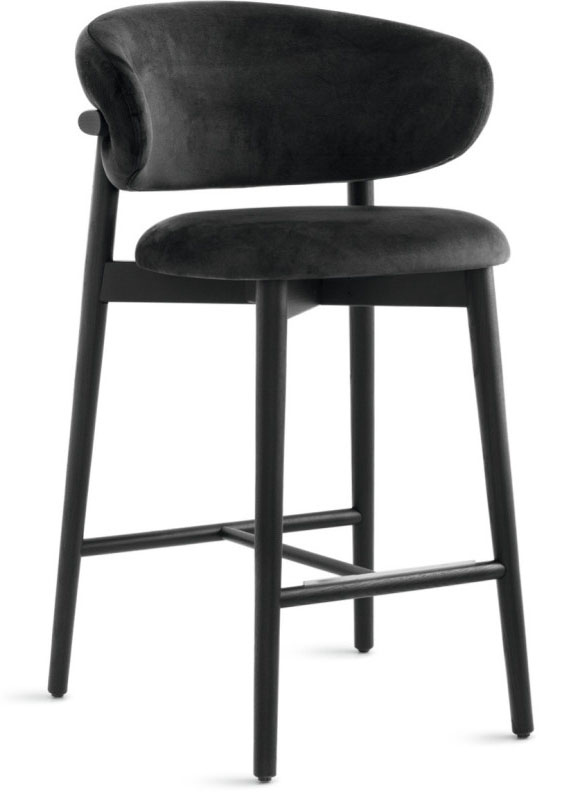 Oleandro Fabric/Wood Customizable Counter Stool