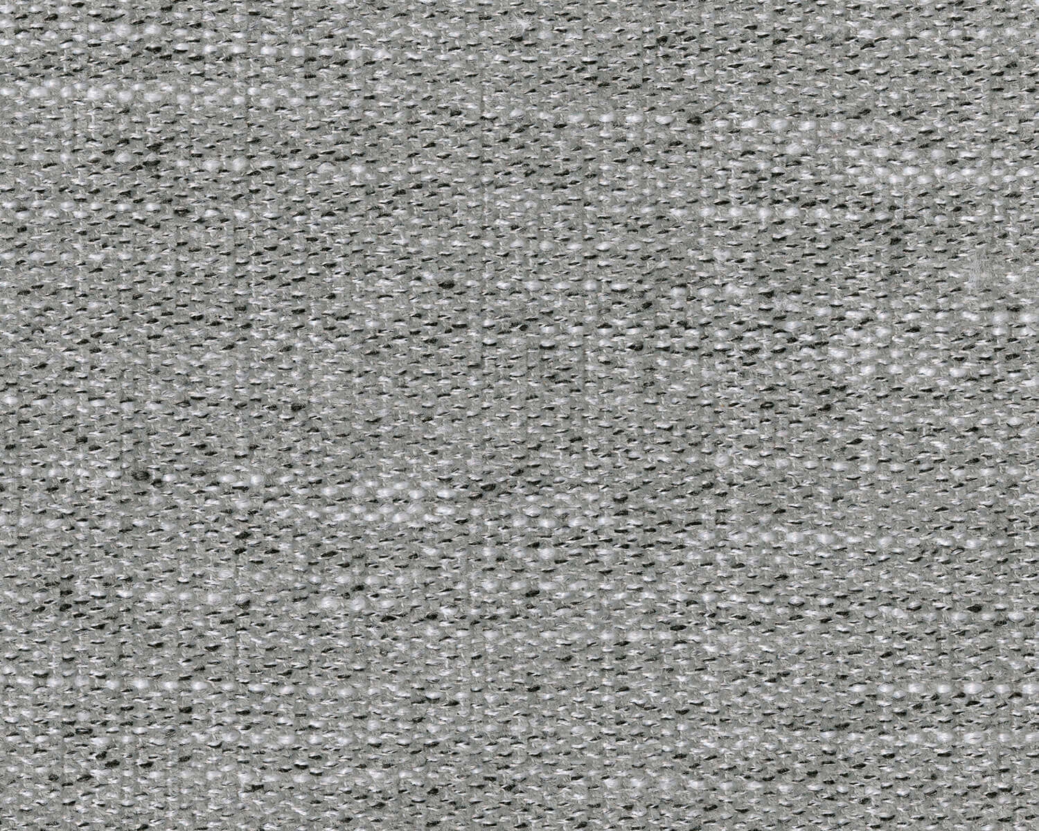 biscoe polyester