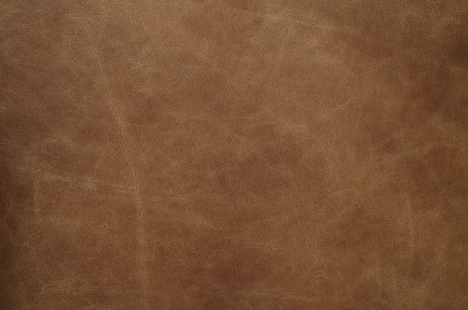 Calan Top Grain Leather Executive Office Chair
