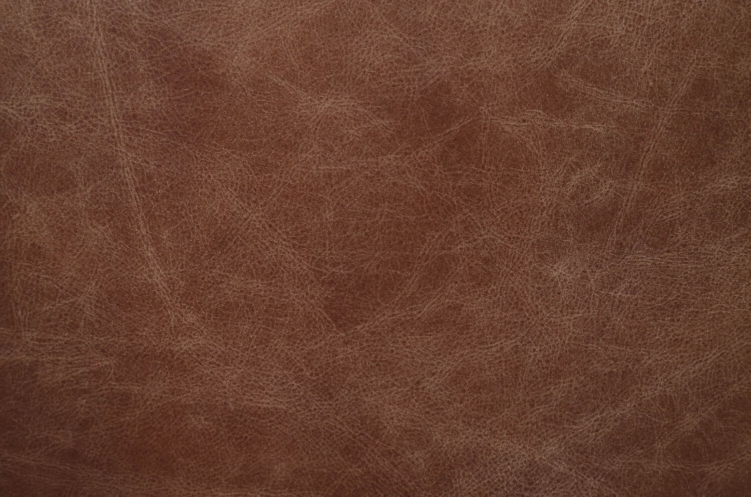 Calan Top Grain Leather Executive Office Chair