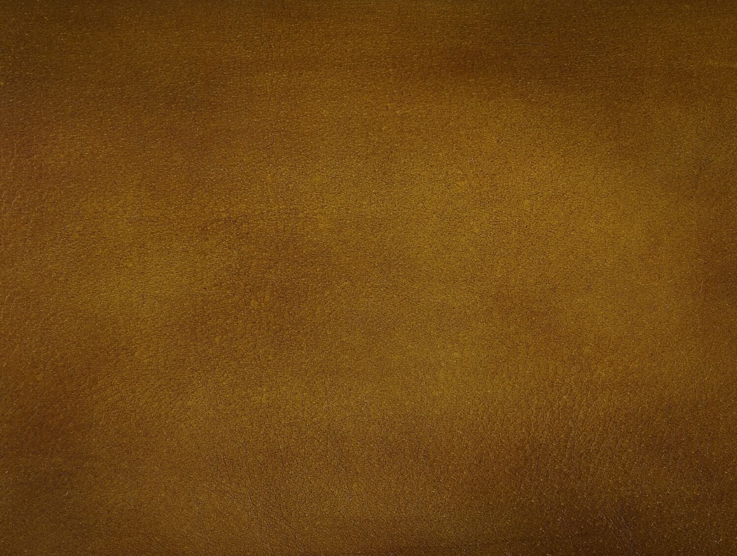 Ambler Top Grain Leather Executive Office Chair