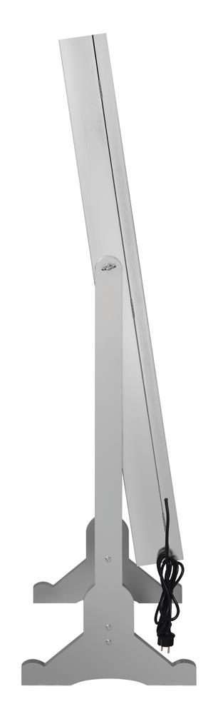 Moore Jewelry Cheval Mirror