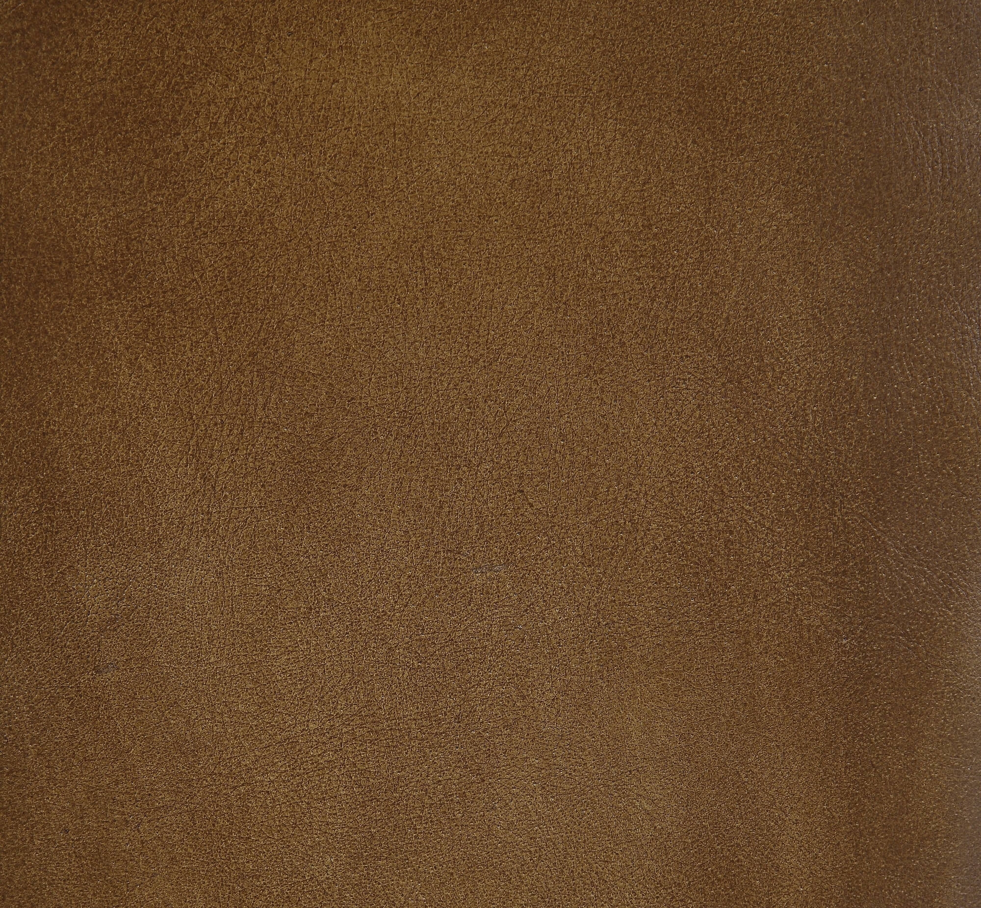 Alsey Top Grain Leather Bar Chair