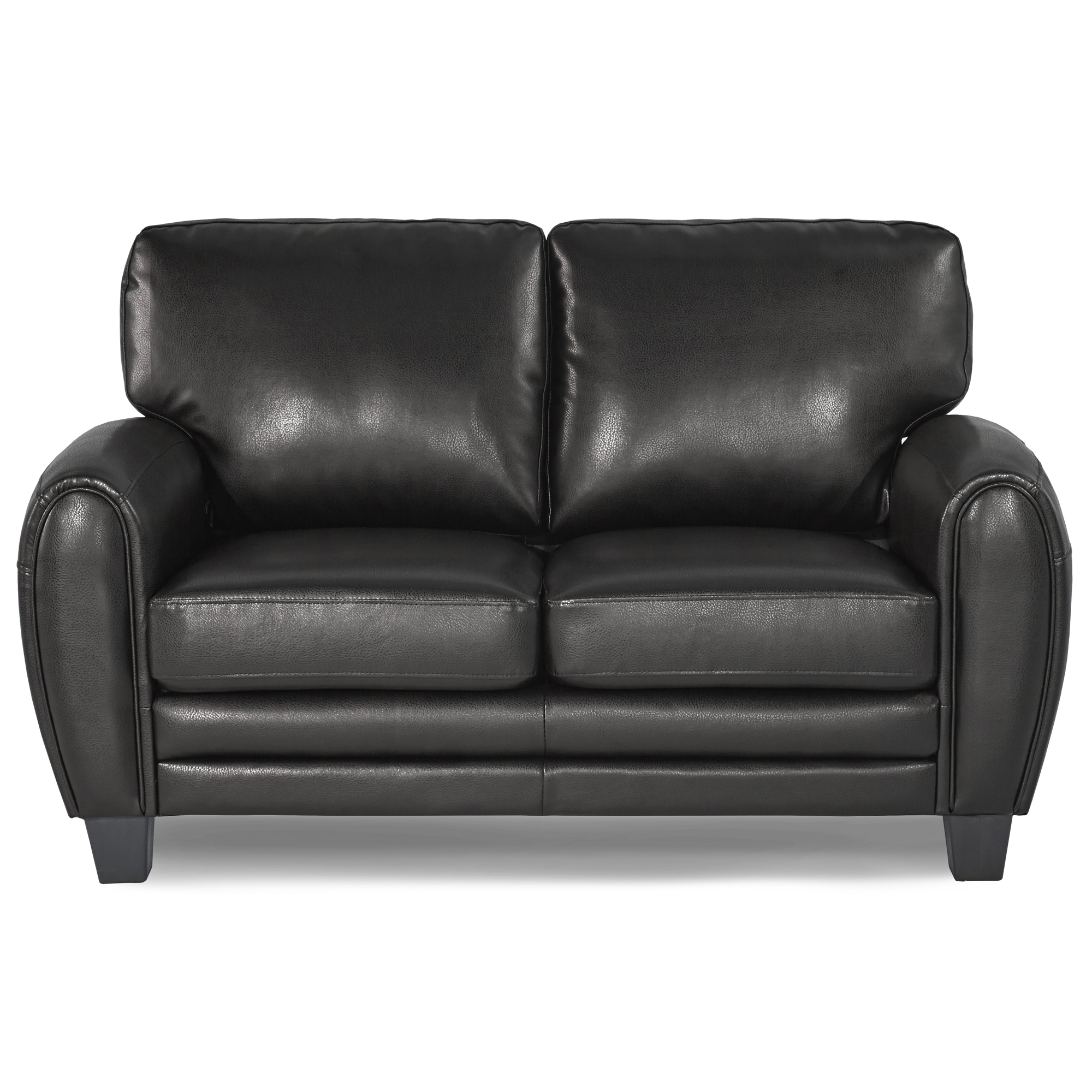 Rubin Microfiber/Leatherette Loveseat