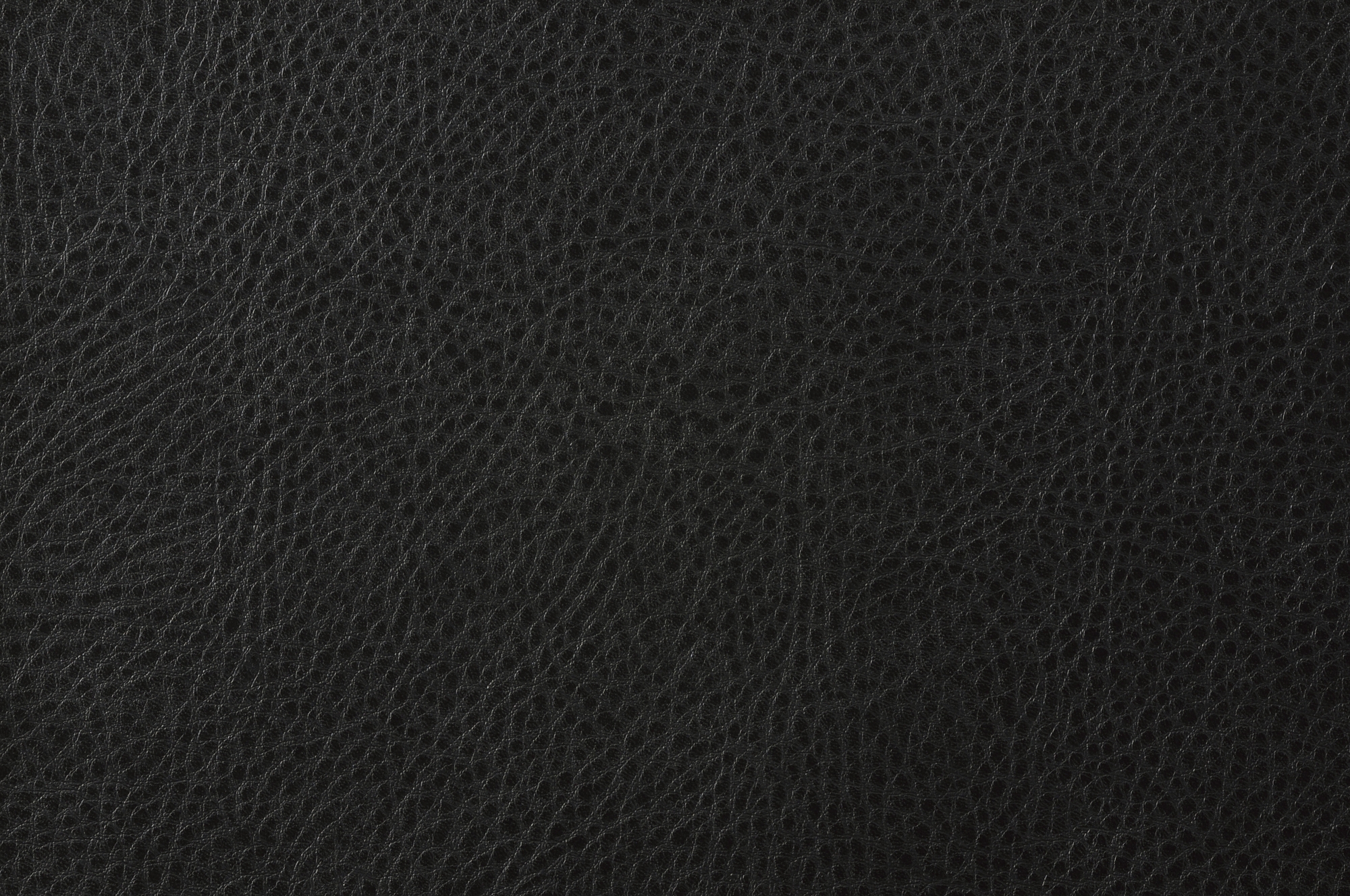 Rubin Microfiber/Leatherette Loveseat
