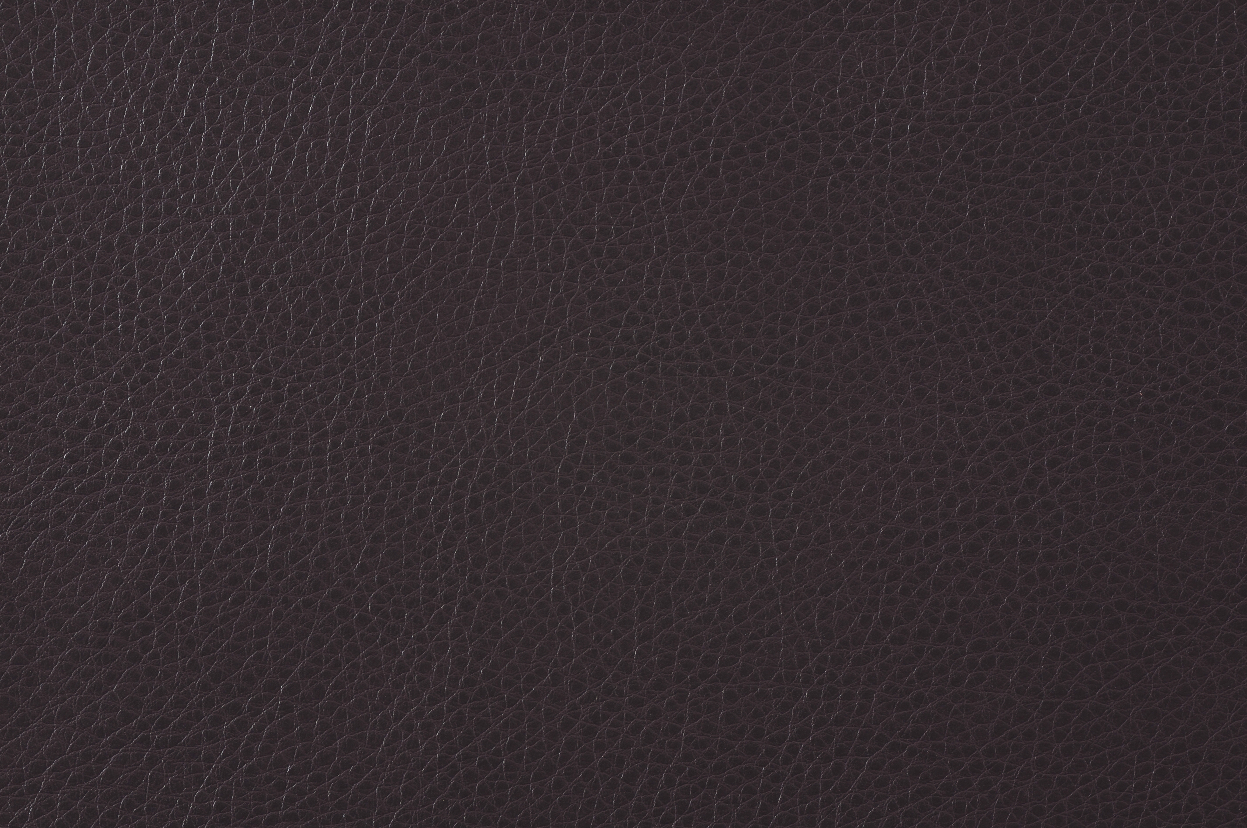 Rubin Microfiber/Leatherette Loveseat