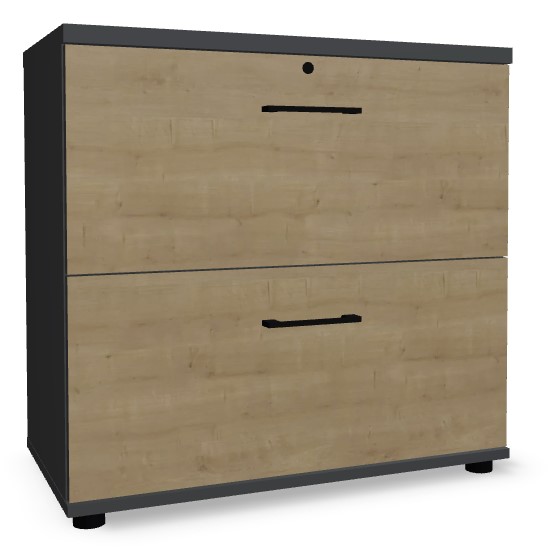 Standard Office Lockable H30.6" File Cabinet w/2 Drawers