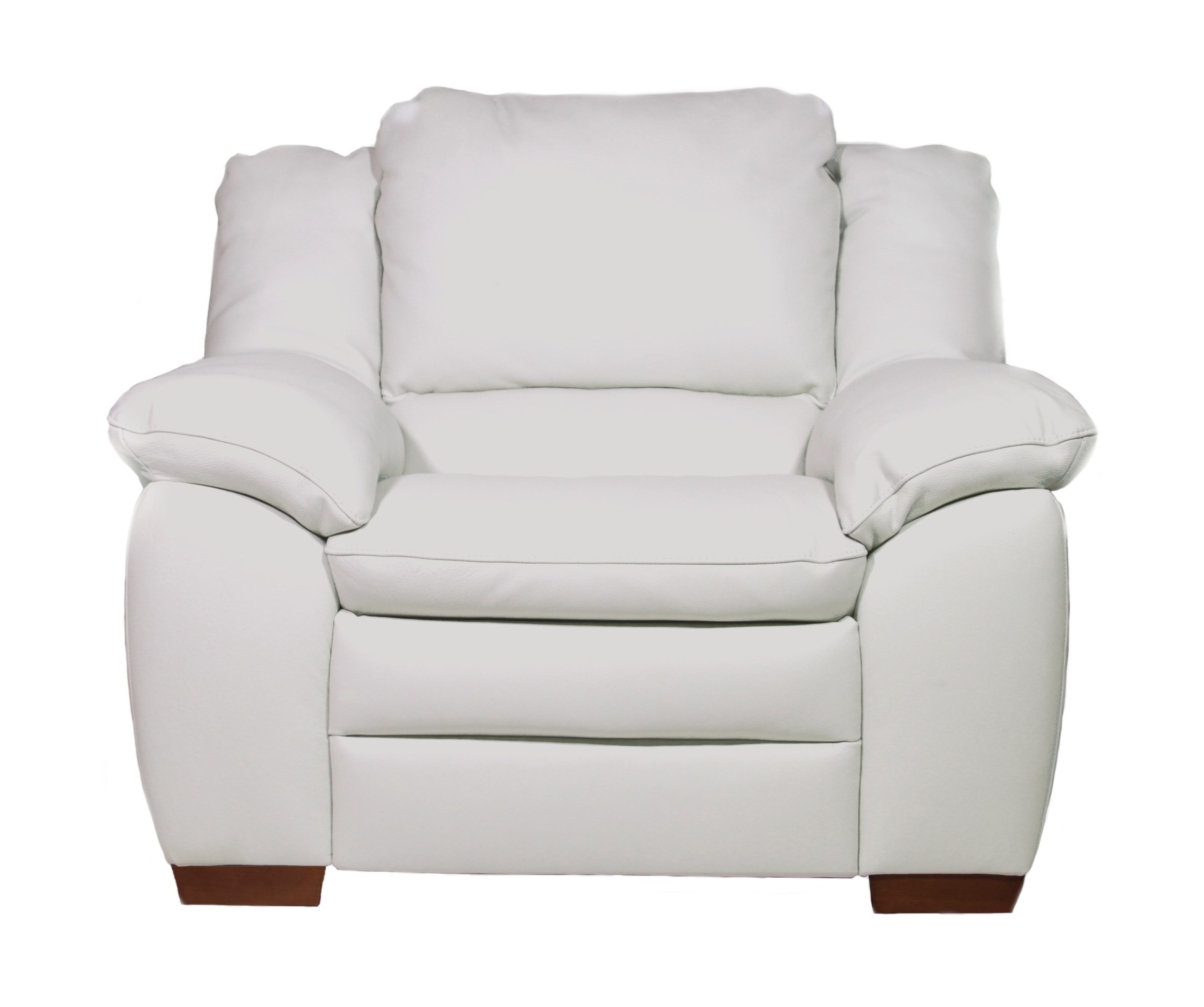 Prudenza Leather Armchair
